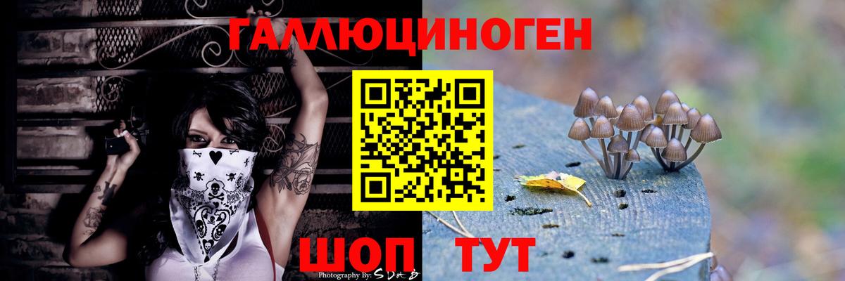 Псилоцибиновые грибы ЛСД  Вход с VPN  Новодвинск  Галлюциногенные грибы Psilocybine cubensis 